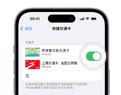 龙门apple维修点分享iPhone上更换Apple Pay快捷交通卡手绘卡面 