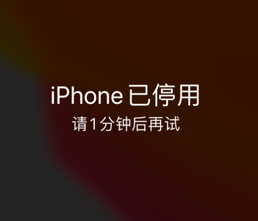 龙门苹果手机维修分享:iPhone 显示“不可用”或“已停用”怎么办？还能保留数据吗？ 