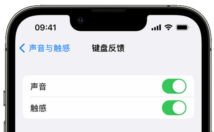 龙门苹果手机维修分享iPhone 14触感键盘使用方法 