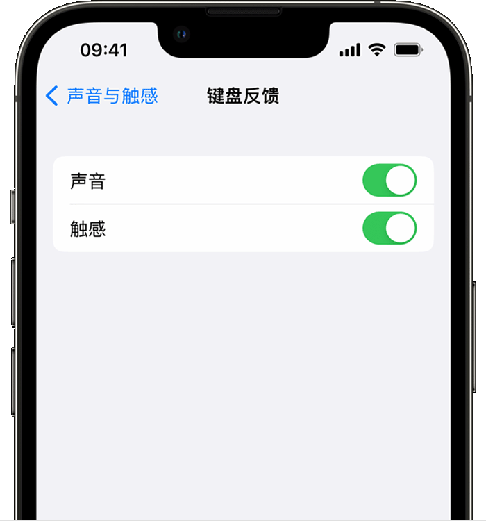 龙门苹果14维修店分享如何在 iPhone 14 机型中使用触感键盘 