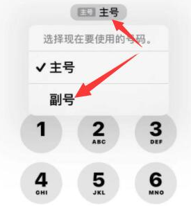 龙门苹果14维修店分享iPhone 14 Pro Max使用副卡打电话的方法 