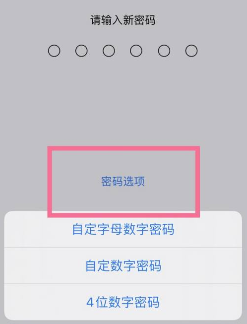 龙门苹果14维修分享iPhone 14plus设置密码的方法 