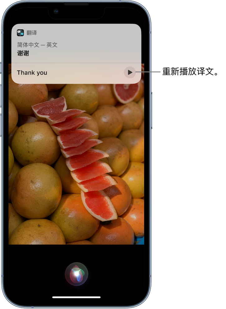 龙门苹果14维修分享 iPhone 14 机型中使用 Siri：了解 Siri 能帮你做什么 