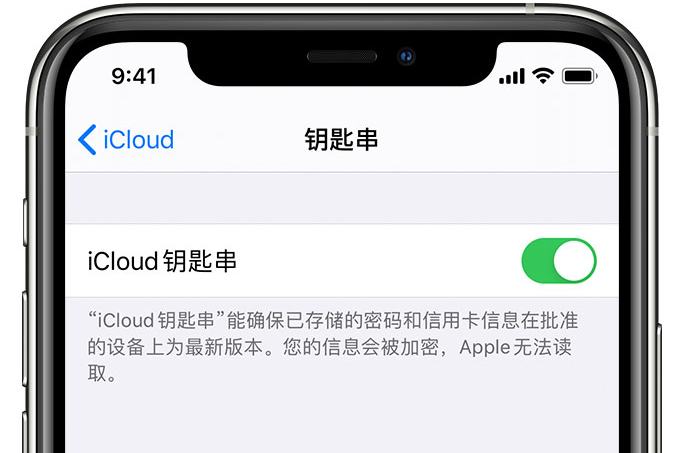 龙门苹果手机维修分享在 iPhone 上开启 iCloud 钥匙串之后会储存哪些信息 