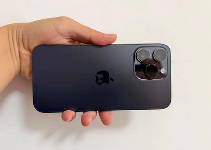 龙门苹果维修点分享iPhone 14 Pro Max黑屏少见故障盘点 